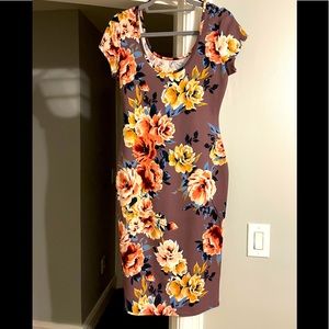 NWT short sleeve fitted dress.